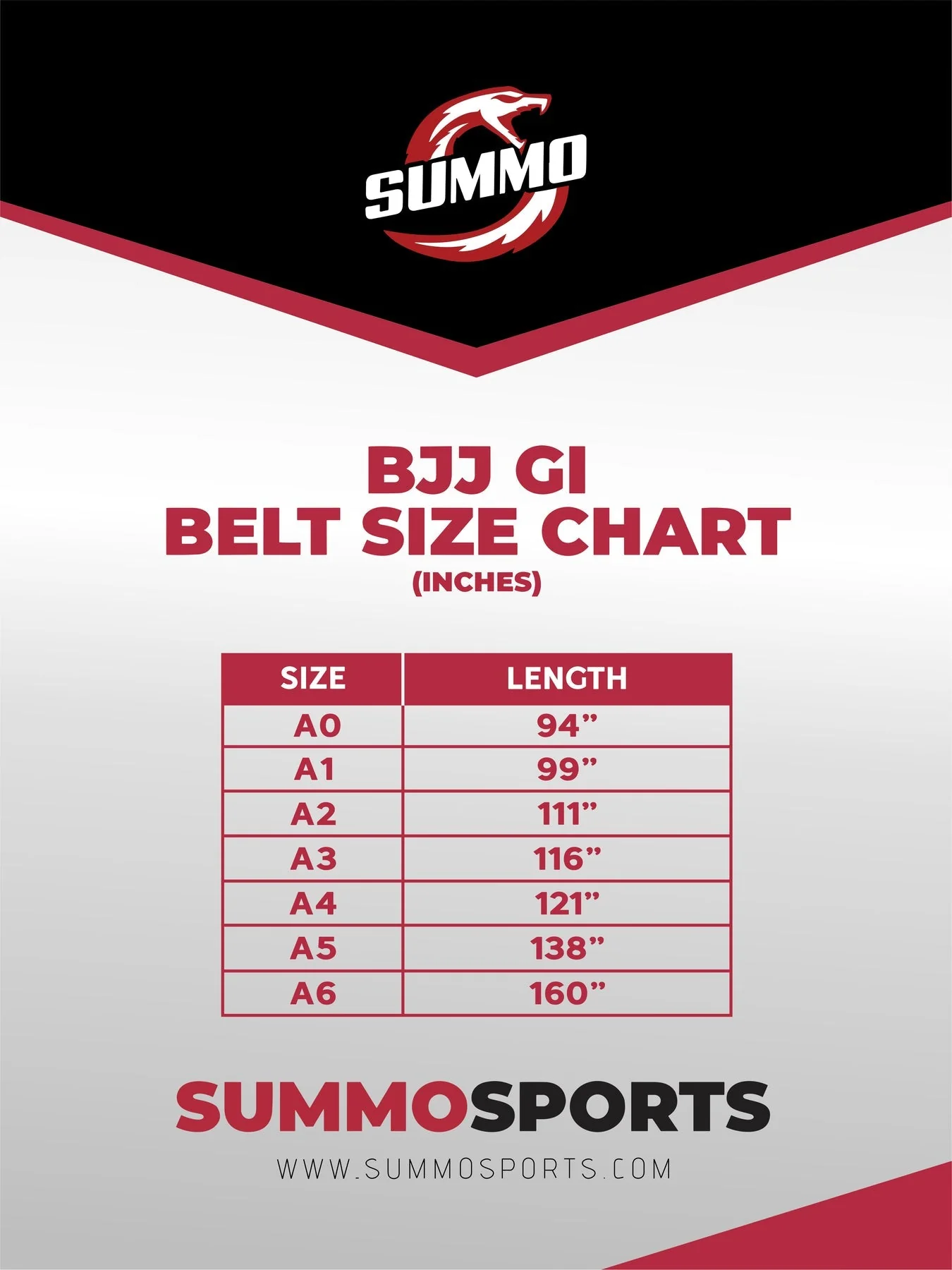 Premium Custom Name Brazilian Jiu Jitsu BJJ Belt - Image 7